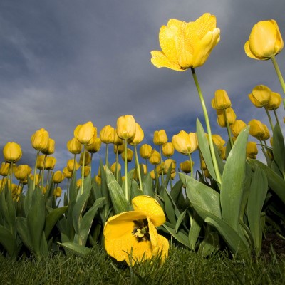 1920 x 1080 HD Wallpapers 2569